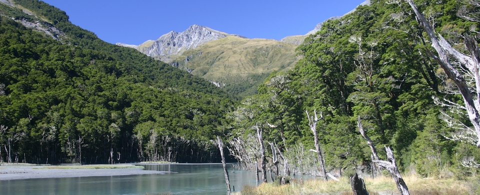 Aspiring Flat, East Matukituki Valley